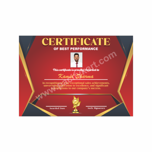 Certificate of Best Performance for Sales Achievement | Best Sales Award Certificate Design – PacifyKart