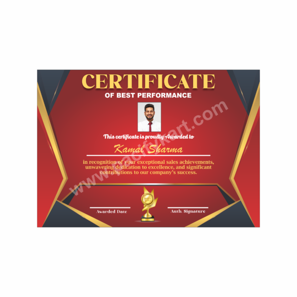 Certificate of Best Performance for Sales Achievement | Best Sales Award Certificate Design – PacifyKart