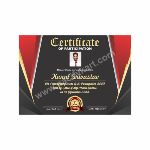 Certificate of Best Performance for Sales Achievement | Best Sales Award Certificate Design – PacifyKart