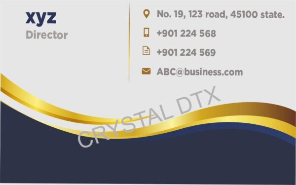 Professional business visiting card