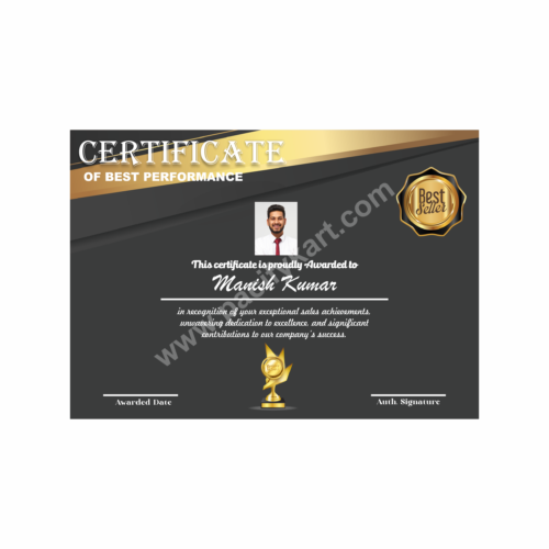 Certificate of Best Performance for Sales Achievement | Best Sales Award Certificate Design – PacifyKart
