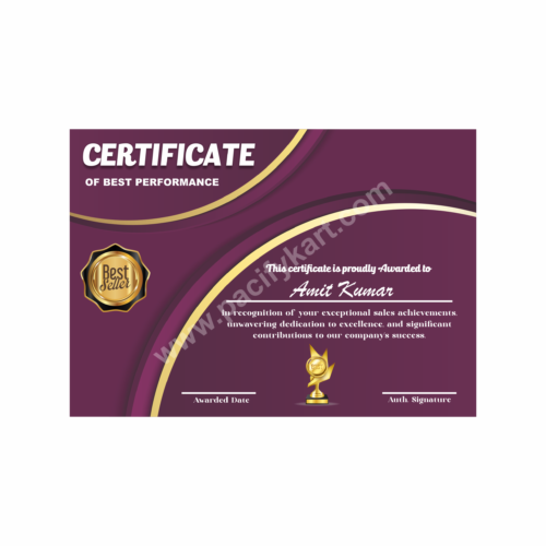 Certificate of Best Performance for Sales Achievement | Best Sales Award Certificate Design – PacifyKart